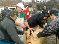 Falusi diszn�v�g�s 2015.
