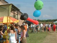Falunap 2009.