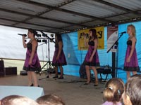 Falunap 2010.