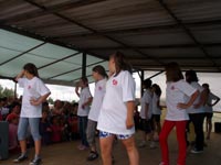Falunap 2010.