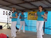 Falunap 2010.