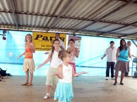 Falunap 2010.