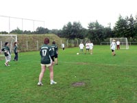 Falunap 2010.