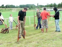 Falunap 2010.