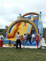 Falunap 2010.
