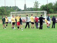 Falunap 2010.