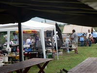 Falunap 2010.