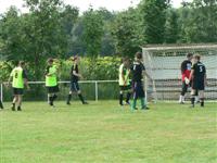 Falunap 2011.