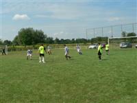 Falunap 2011.