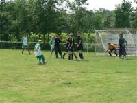 Falunap 2011.