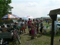Falunap 2011.
