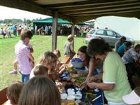 Falunap 2011.