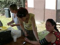 Falunap 2011.
