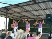 Falunap 2011.
