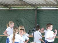 Falunap 2011.