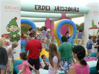 Falunap 2011.
