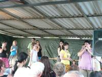 Falunap 2011.