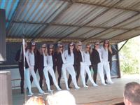 Falunap 2015.