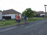 Gyereknap 2015.