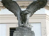 Ad�szteveli k�pek