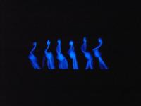 Kultur�lis d�lut�n 2016.