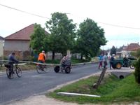 M�jusfa �ll�t�s 2015.