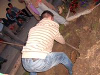 M�jusfa �ll�t�s 2015.