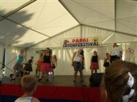 Zenest�di� 2012. NEJ